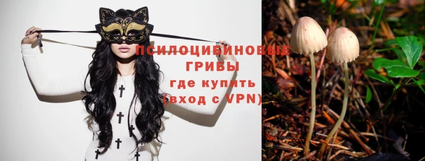 спиды Алексин