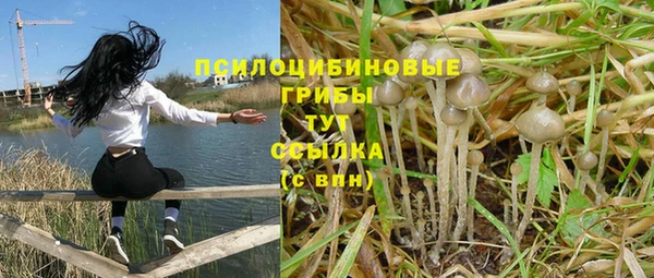 mdpv Алексеевка