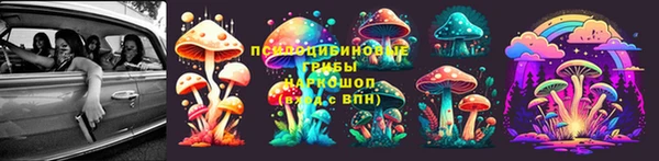 спиды Алексин