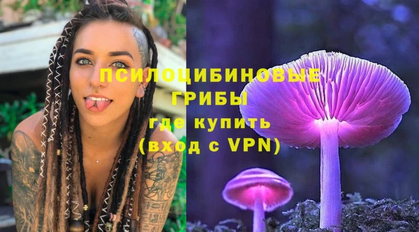 спиды Алексин
