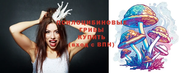ешки Алзамай