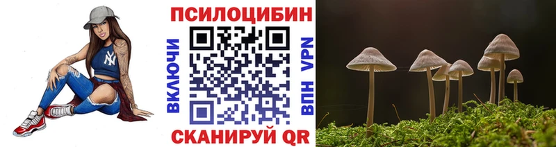 Галлюциногенные грибы Magic Shrooms  купить  цена  МЕГА ссылка  Камешково 